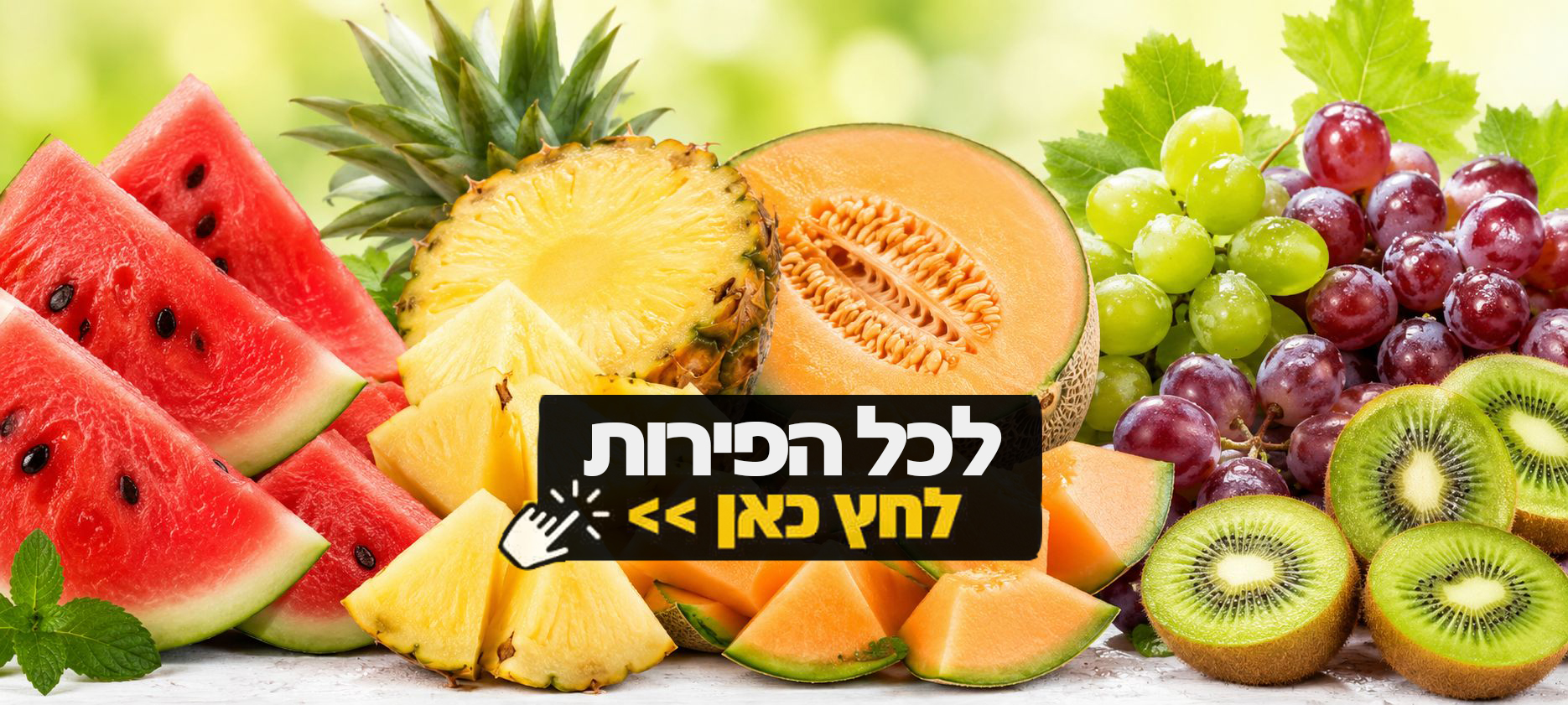 קומבינת טיל - בלוגה ליטר