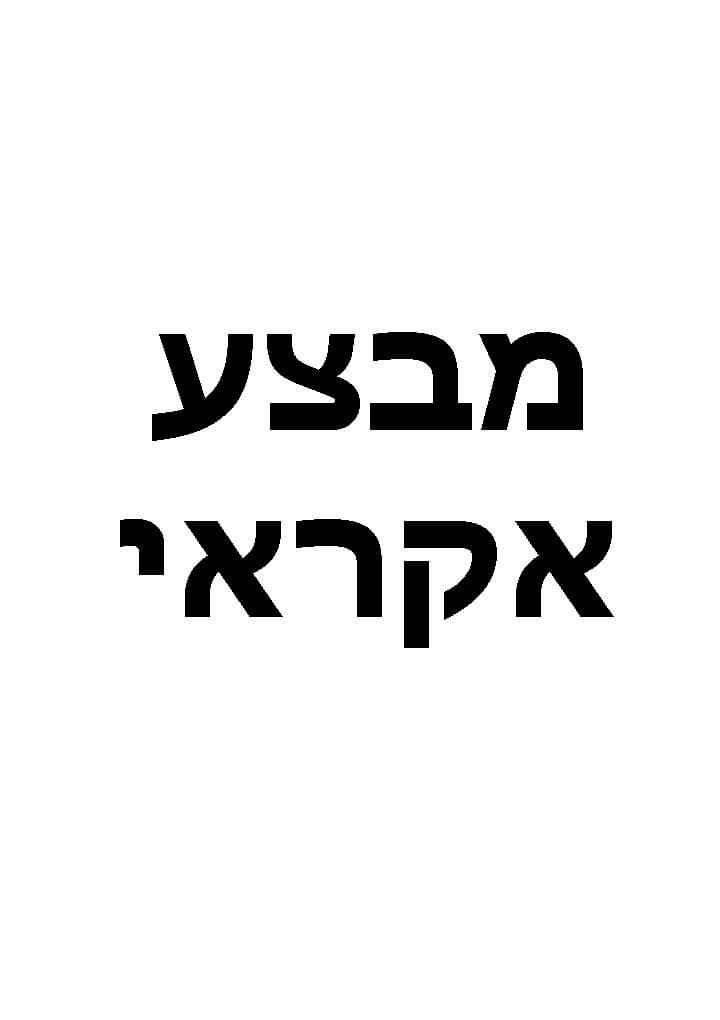 מבצע אקראי